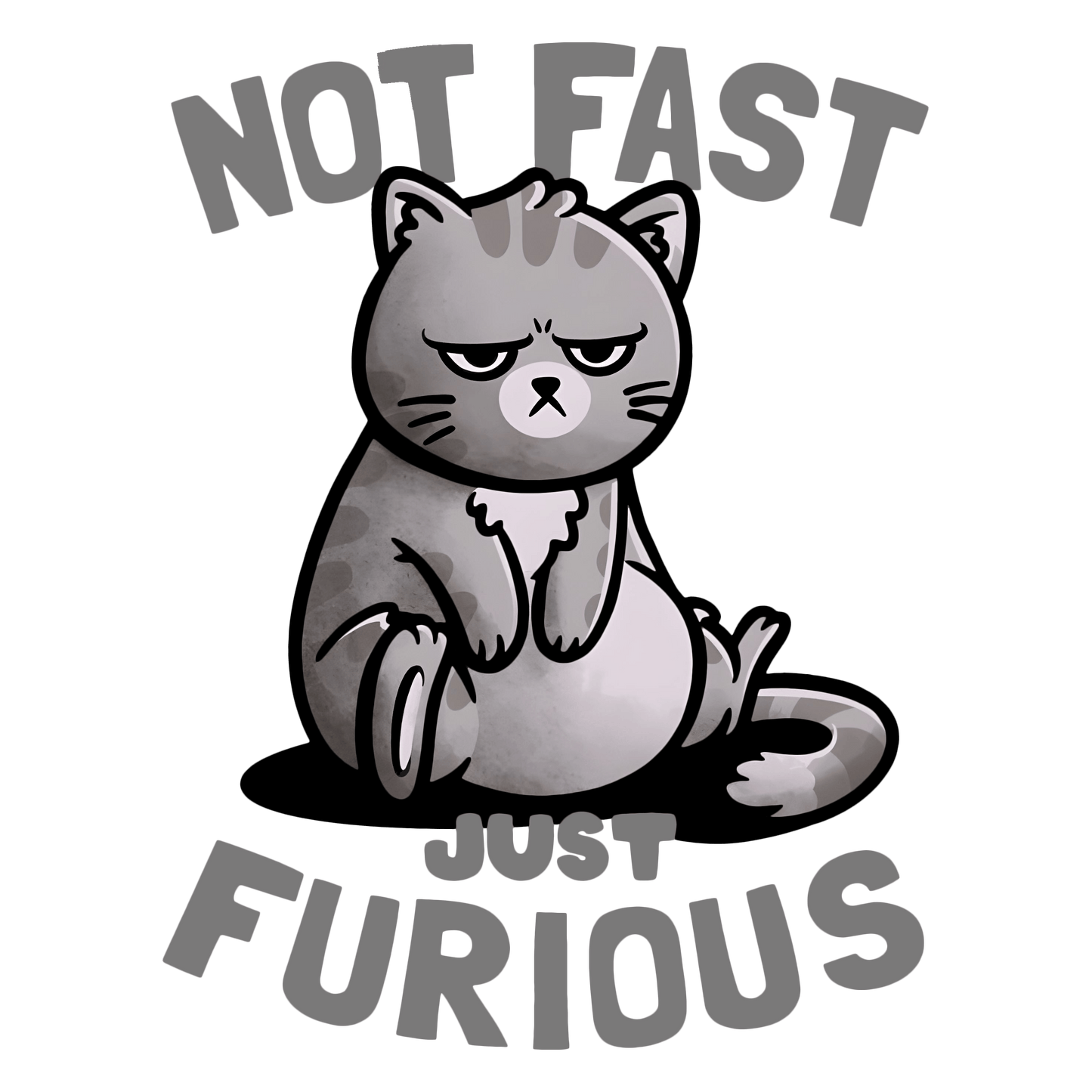Not Fast Just Furious Feline Womens Fitted Graphic Tee