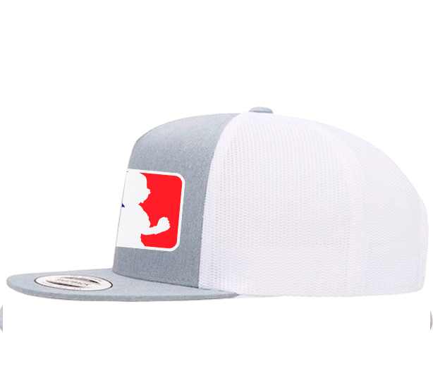 "The All-Star Trainer" | MLB-Style Pokemon Snapback Hat
