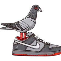 Pigeon Dunk Low T Shirt
