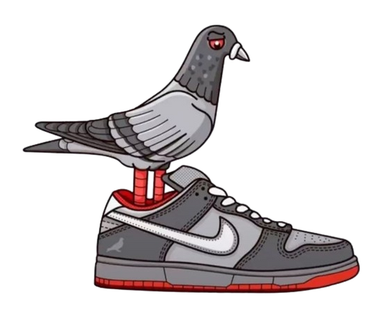 Pigeon Dunk Low T Shirt