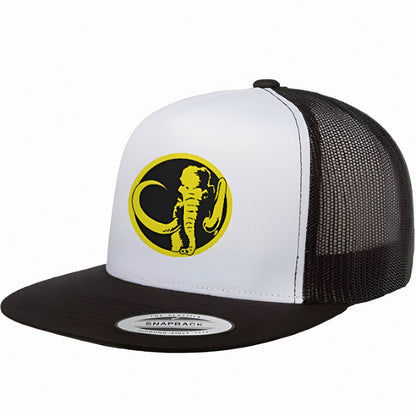 Black Ranger Mastodon Snap Back