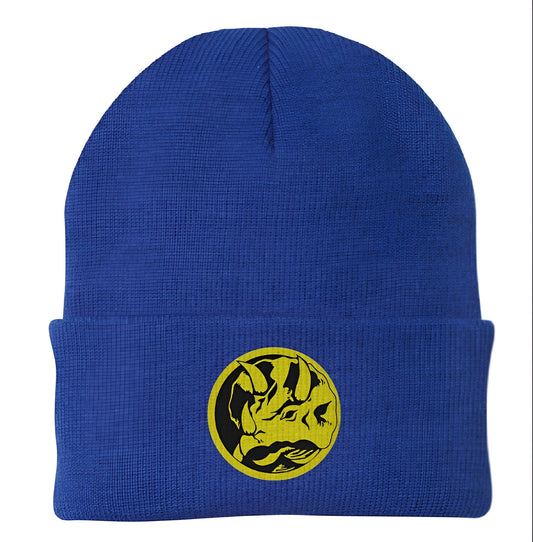 Blue Ranger Emblem Power Rangers Beanie