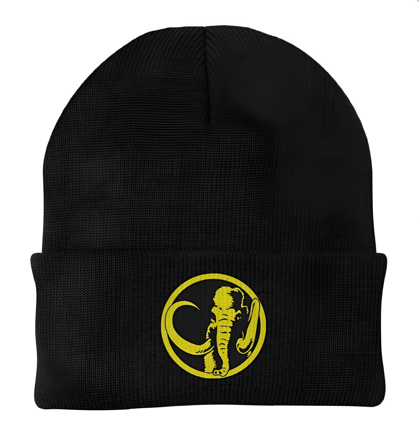 Black Ranger Emblem Power Rangers Beanie