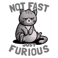 Not Fast Just Furious Feline Womens Fitted Graphic Tee