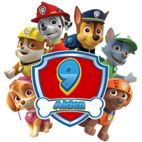 Paw Patrol Youth Birthday Personalized Age & Name Graphic Tee
