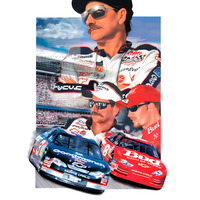 Dale Earnhardt & Dale Junior: NASCAR Legends Tee