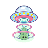 UFO Weed Abduction Graphic Tee Unisex Shirt