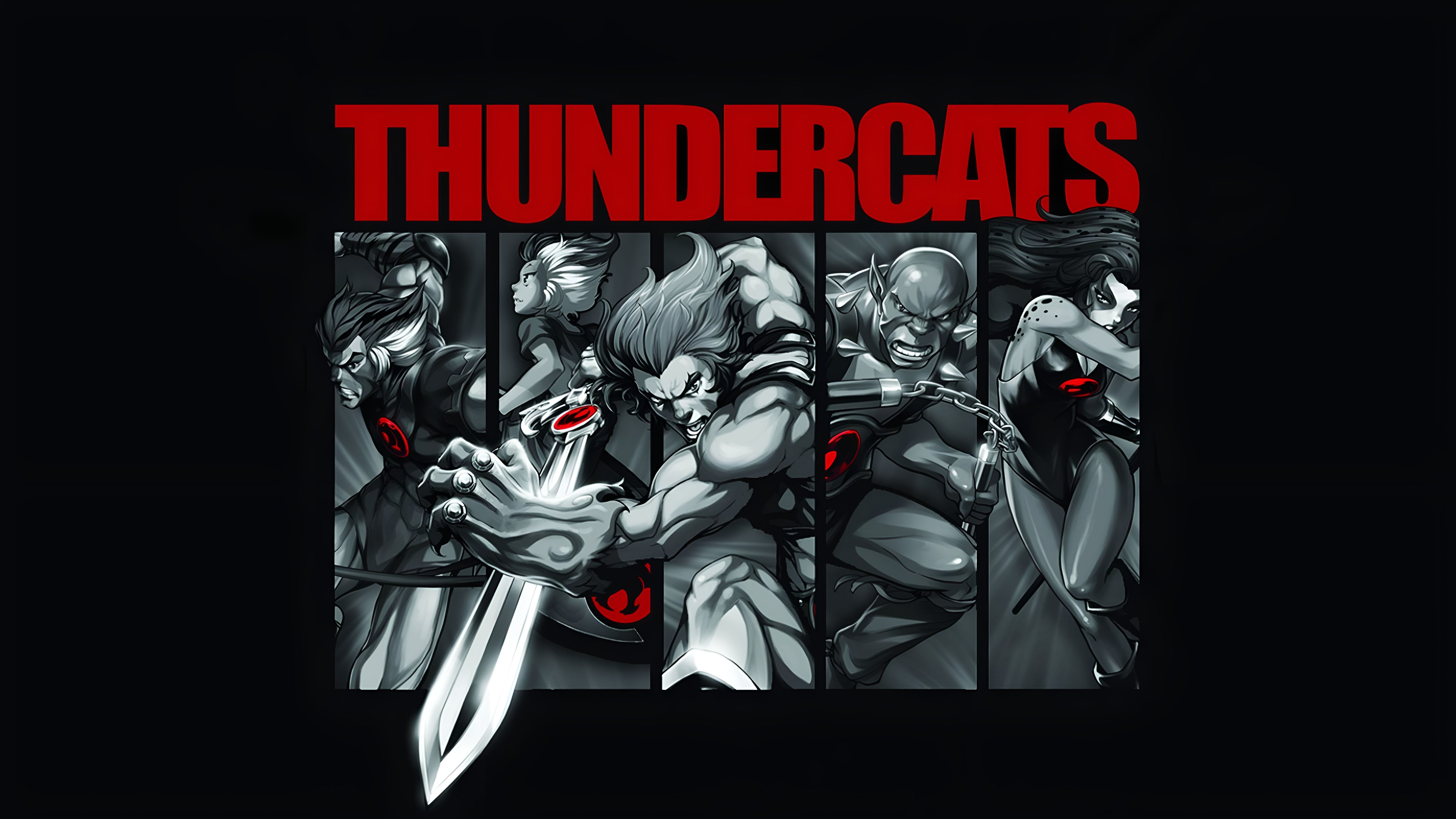 Thundercats Retro Graphic Tee Unisex T-Shirt